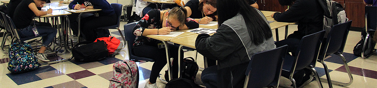 History and Social Studies 